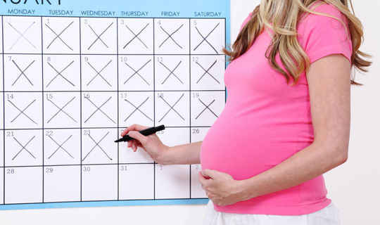 schwangerschaftskalender